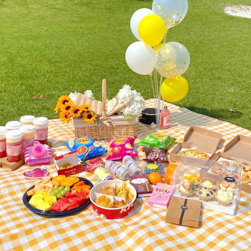 200x200cm Extra Large Picnic M - Outdoor Rug Waterproof ulasan dan harga