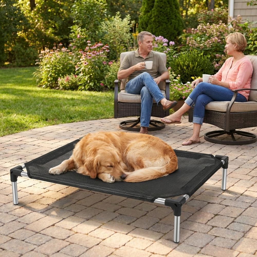 Breathable Mesh Elevated Dog B - Outdoor Rug Waterproof ulasan dan harga