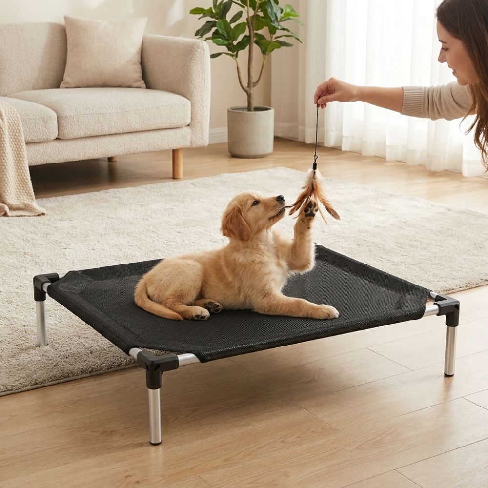 Breathable Mesh Elevated Dog B - Outdoor Rug Waterproof ulasan dan harga